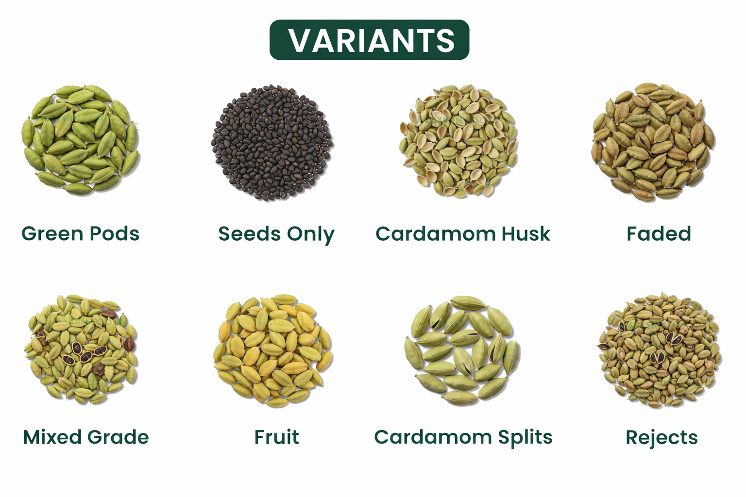 Cardamom Variants